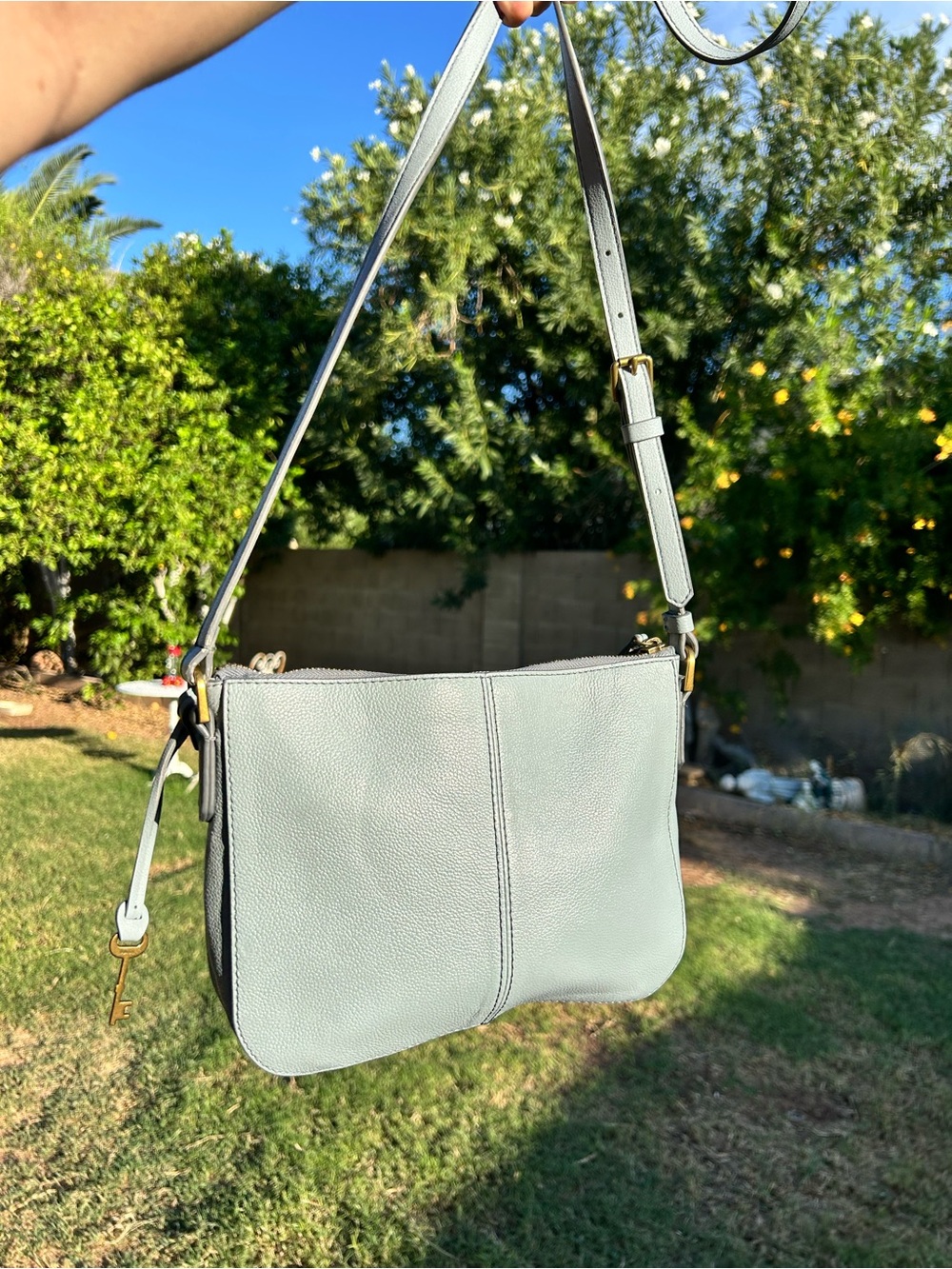 Fossil Glacier Leather Crossbody Bag